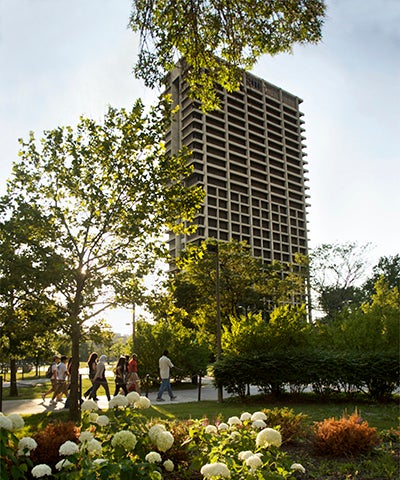 University Hall framed by trees and flowers